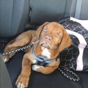 Meet your Posher, Yesenia